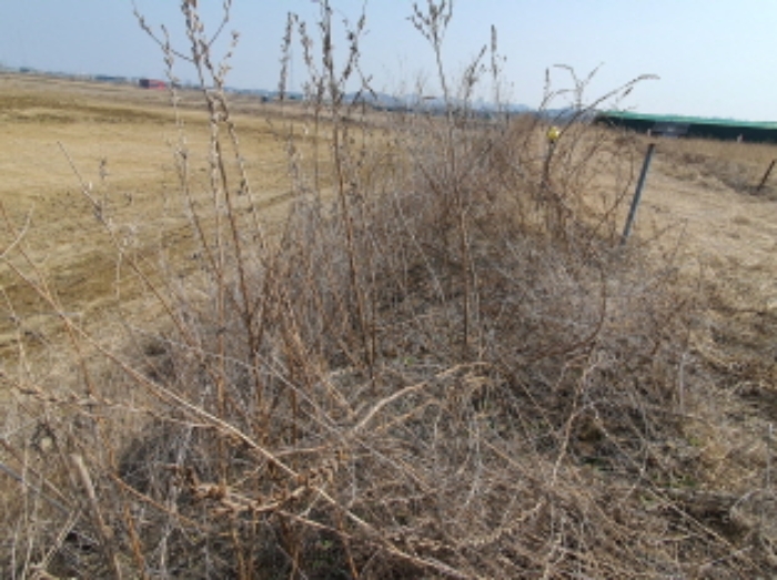 목록 1.부동산 경계(2)