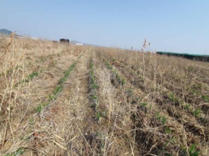 목록 2.부동산에 재배된 농작물