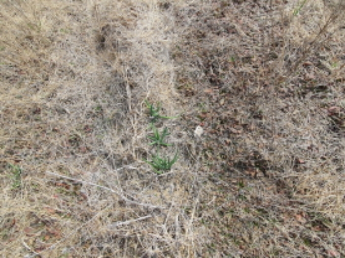 목록 1.부동산에 재배된 농작물(1)