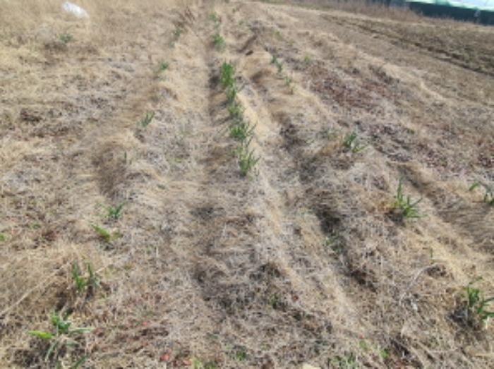 목록 1.부동산에 재배된 농작물(2)