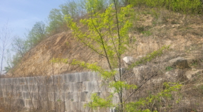 경북 칠곡 동명면 기성리 산73. 지상의 전경