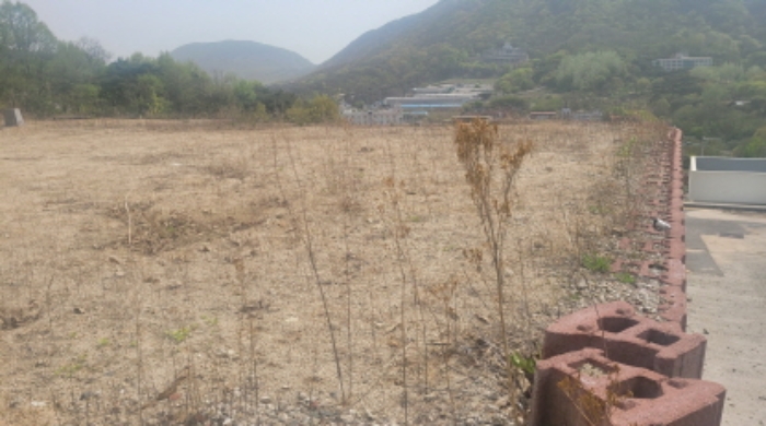 경북 칠곡 동명면 기성리 산74. 지상의 전경