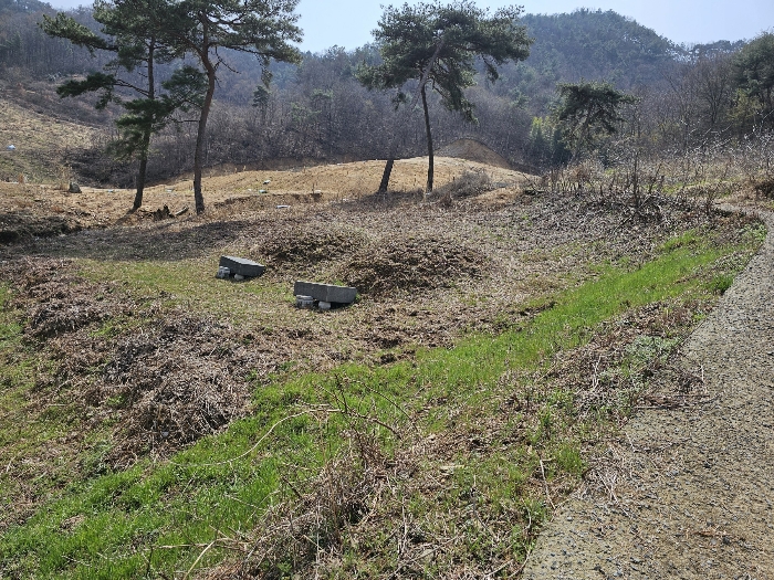 본건 남동측 경계선 부근 분묘 전경