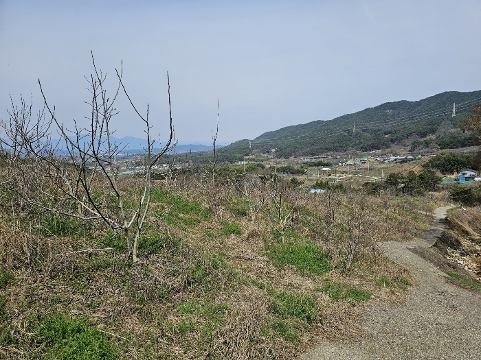 기호2, 제시외수목 전경