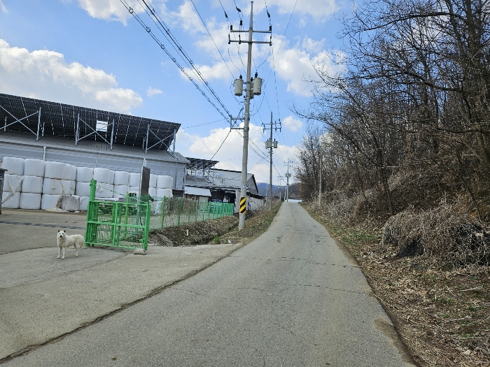 주변 전경