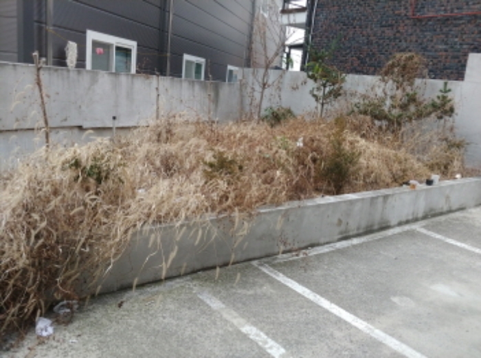 제시외 1층 화단(수목)