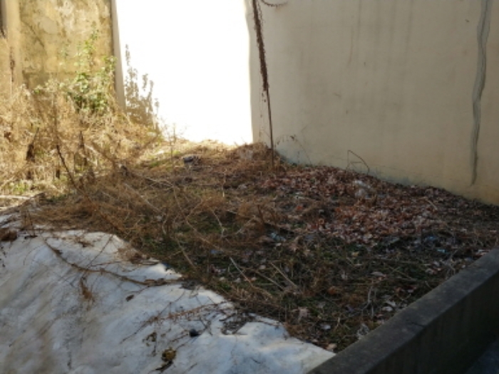 목록1,3번 1층 화단