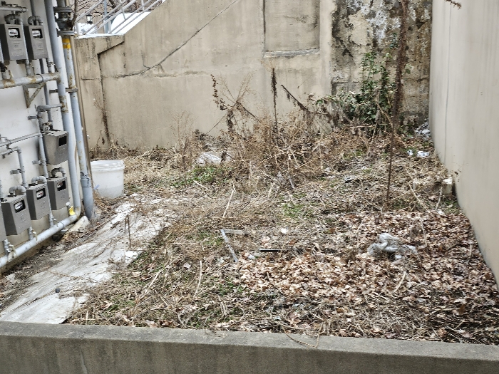 본건 1층 정원 촬영