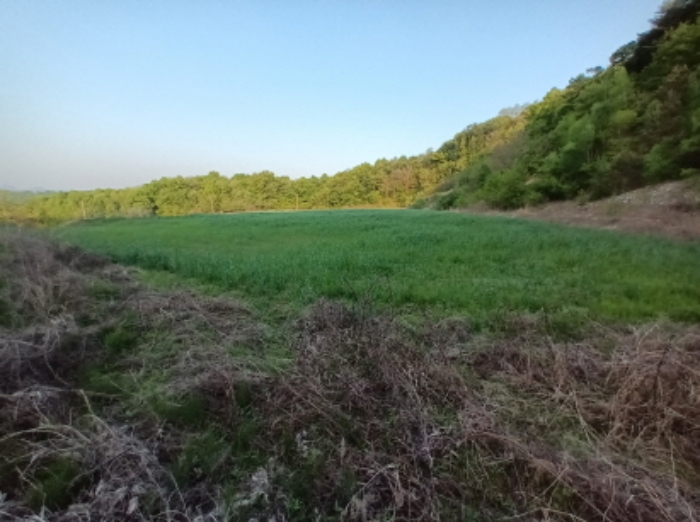 목록4 전 부근 전경