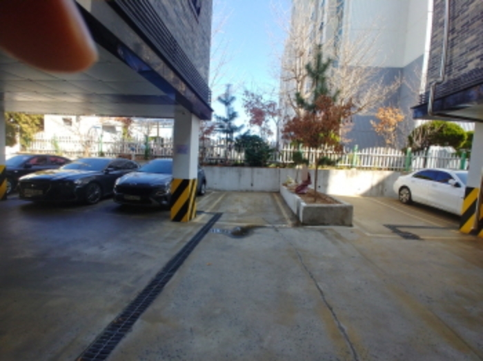 1층 화단 제시외 수목(2) 및 주차장