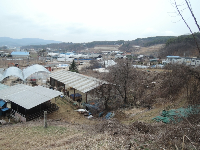 본건 전경(북동측에서 촬영)