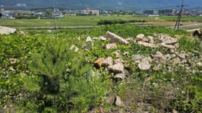 2번, 5번 부동산 지상에 석재가 적치되어 있는 모습