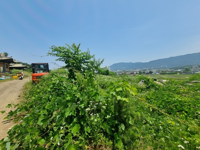 일련번호 (2) 전경