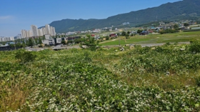 5번 부동산과 인접 토지의 경계부분 모습