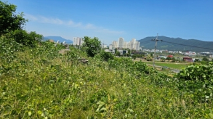 2번 부동산과 인접 토지의 경계부분 모습