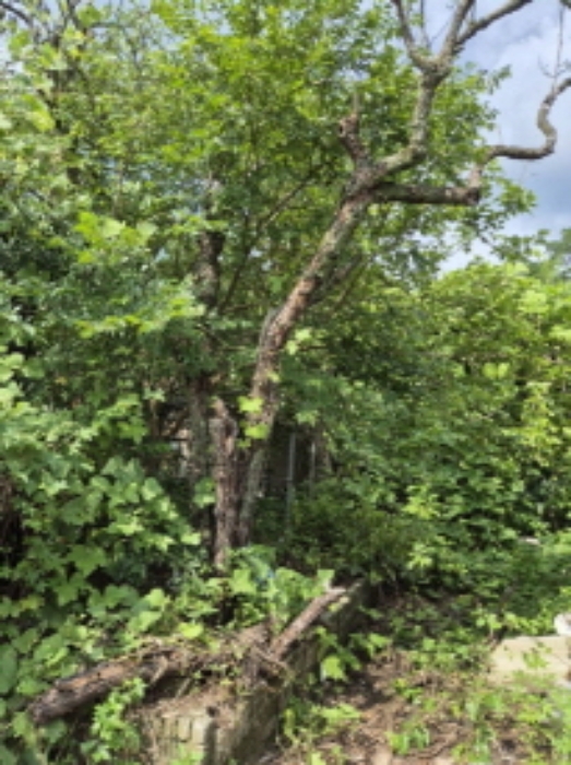 삼각동147-4번지