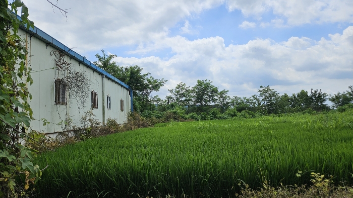 본건 토지 기호1)