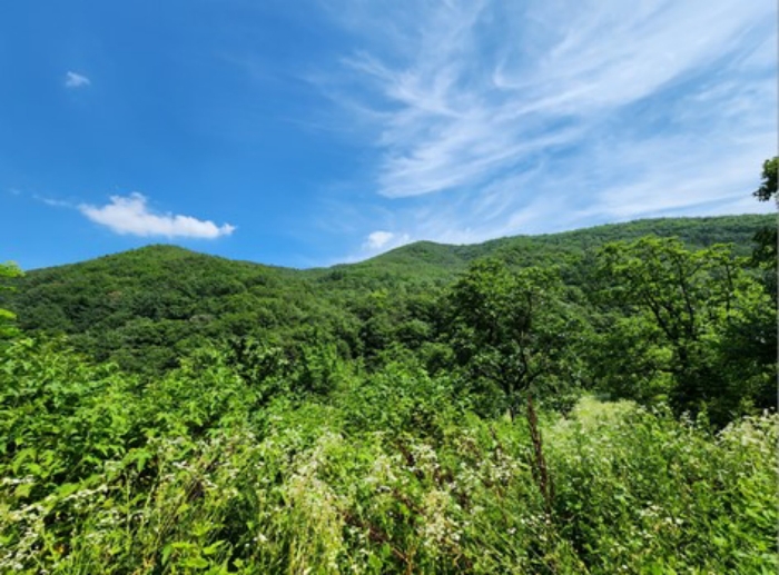 본건(기호 44-48 전경