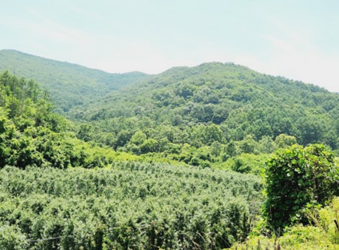 본건(기호 38) 전경