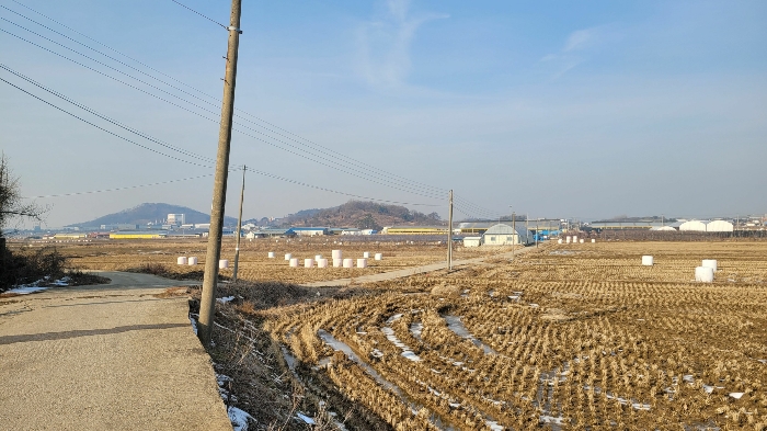 본건 북측 주위 전경