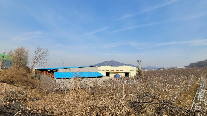 본건 전체 남서측 원경