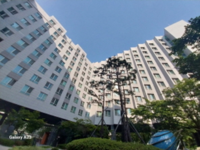 위 목적물의 전경