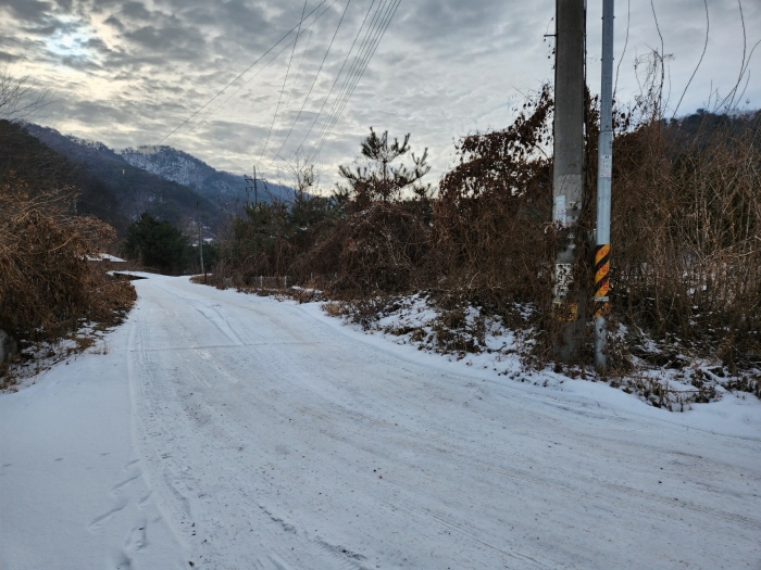 [본건 기호(7) 전경]