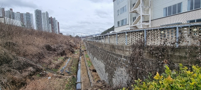 [본건 토지 남측경계부분 전경]