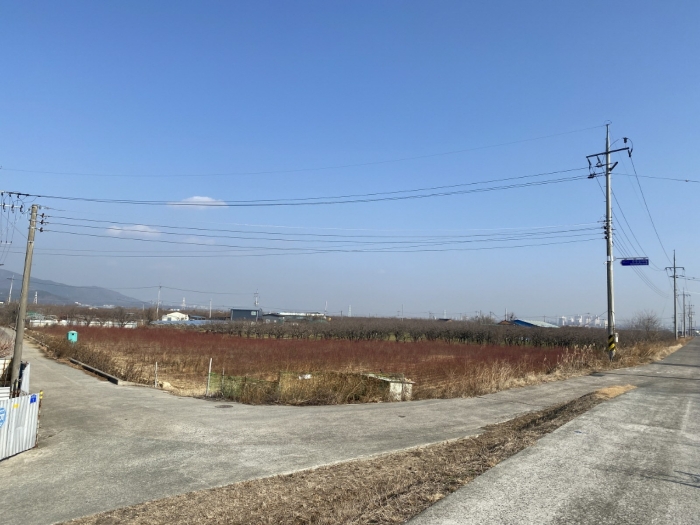 기호(1) - (3) 전경