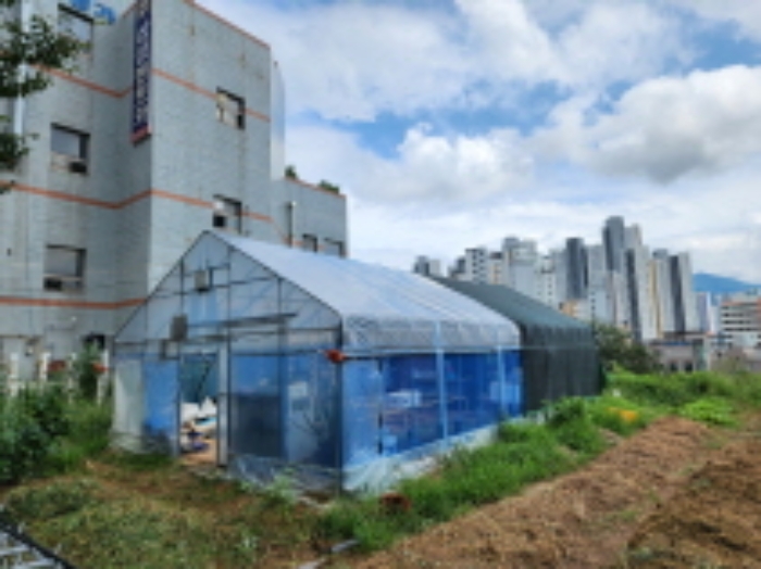 제시외 비닐하우스 전경.