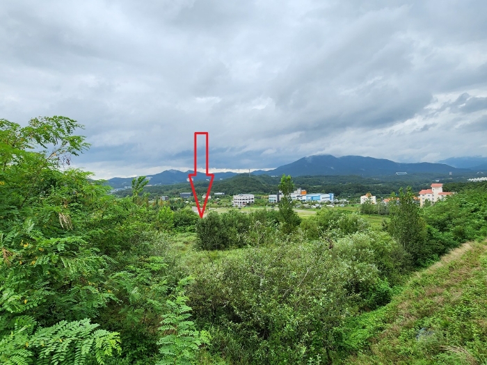 【본건-남동측에서촬영】