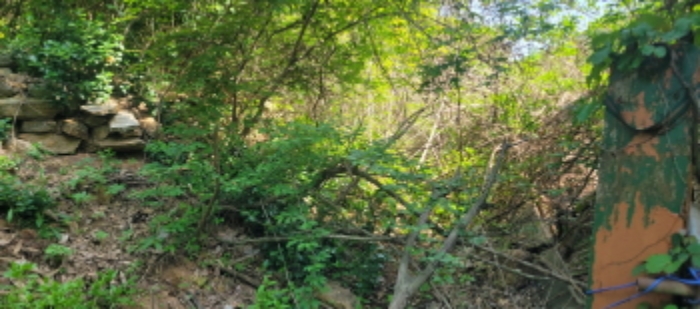 토지 전경도(목록8)