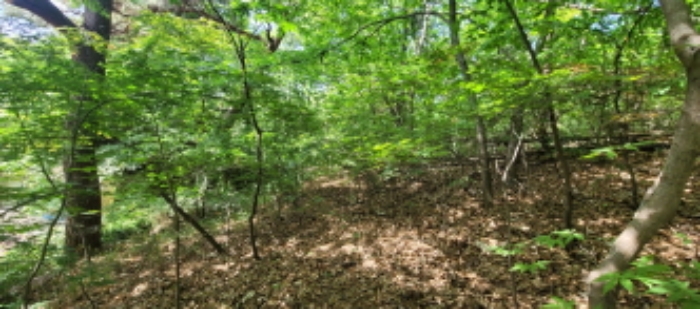 토지 전경도(목록6)