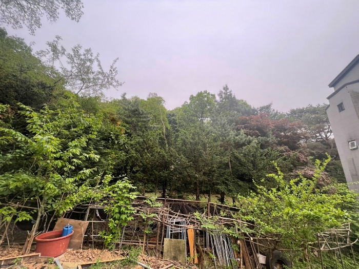 본건 기호(6) 전경