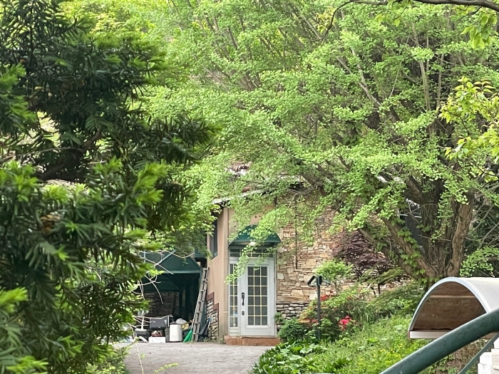 본건 기호(2),(3),(7) 전경