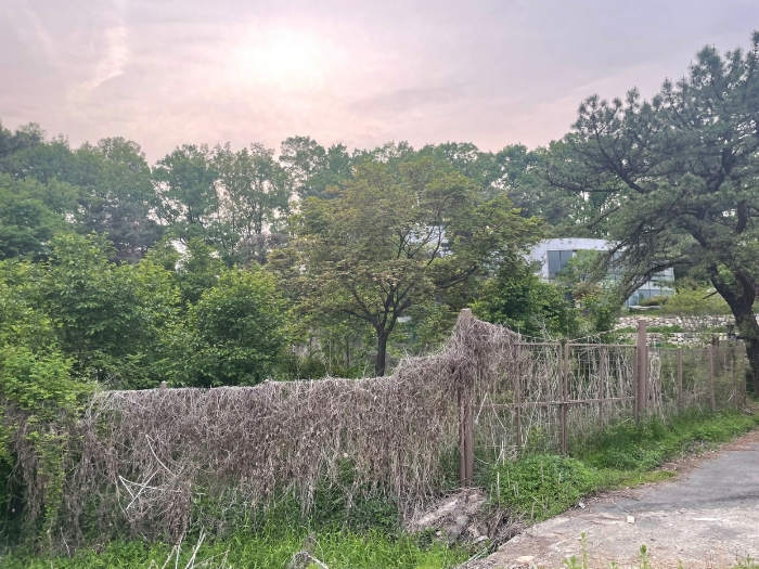 본건 기호(9)-(12) 전경 및 주위환경