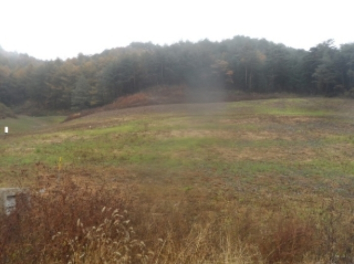 기호 1,2번 근거리에서 촬영한 것임