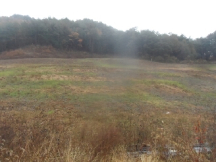 기호 1,2번 근거리에서 촬영한 것임