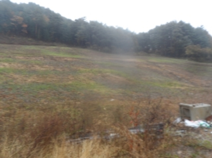 기호 1,2번 근거리에서 촬영한 것임