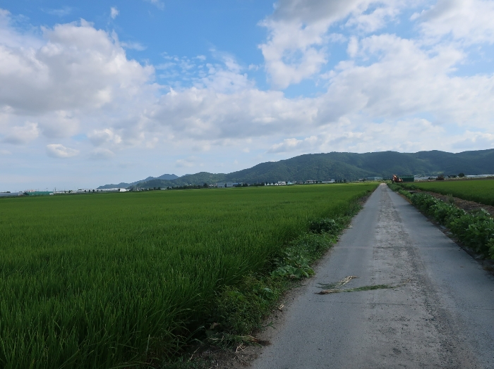 본건 및 주변 전경(1)