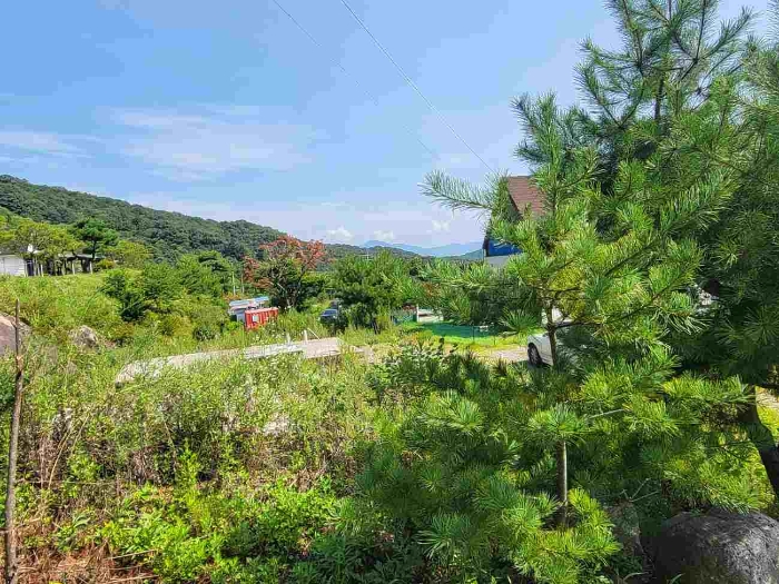 별지 목록 전체
