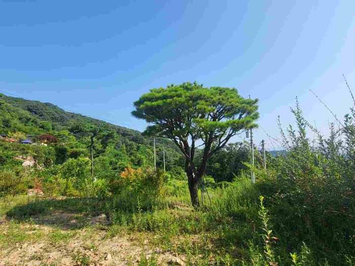 별지 목록 1