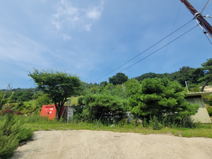 일련번호 1)