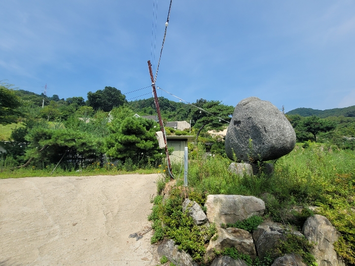일련번호 1)