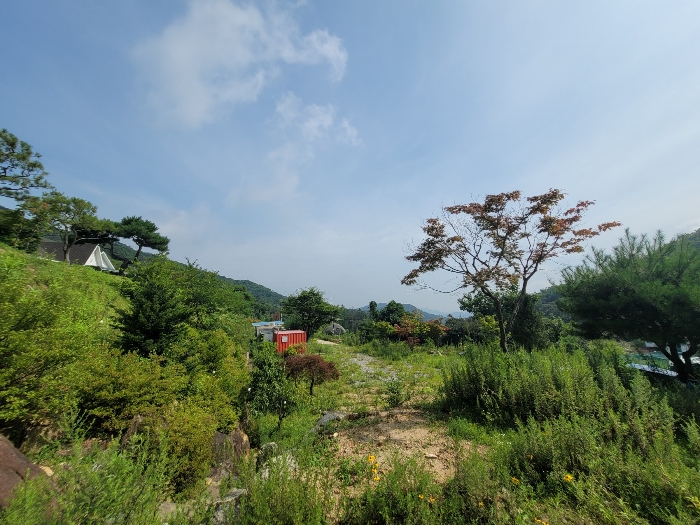 일련번호 6)