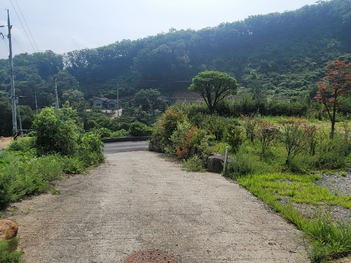 일련번호 1)