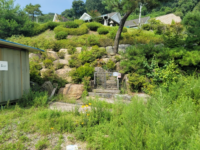일련번호 1)