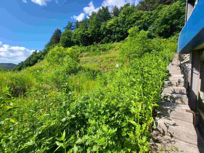 제시 목록 5 부동산