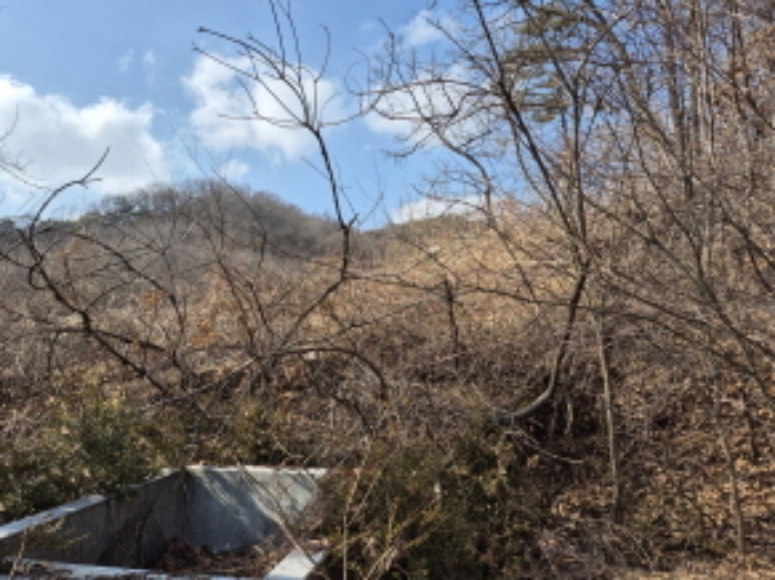 대리석 잔존물(상부측) (4)