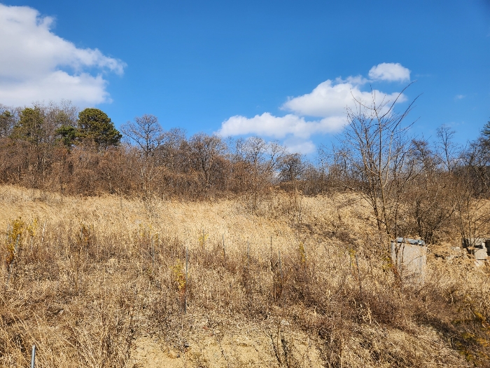 본건 전경(본건 남서측에서 촬영)